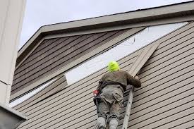 Best Vinyl Siding Installation  in Durand, MI